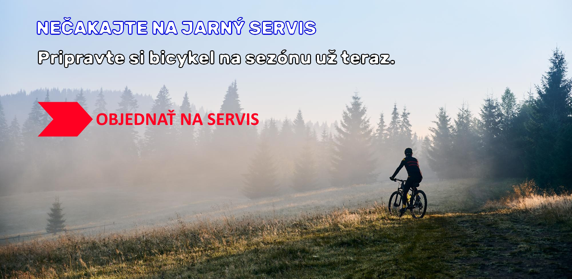 jesen-servis